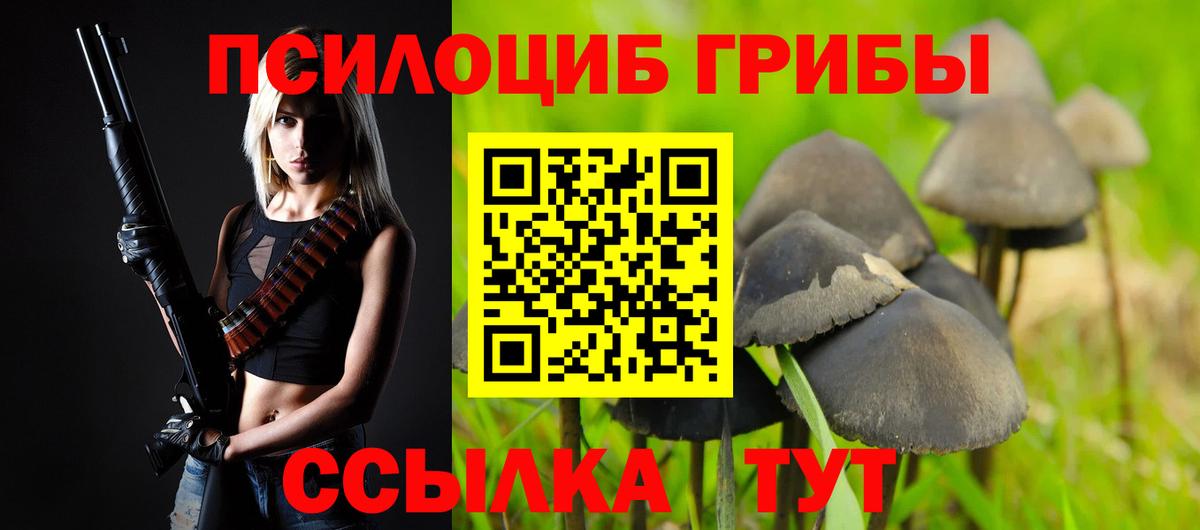 Галлюциногенные грибы Psilocybine cubensis  Галлюциногенные грибы Magic Shrooms  Дагестанские Огни  Вход с VPN 