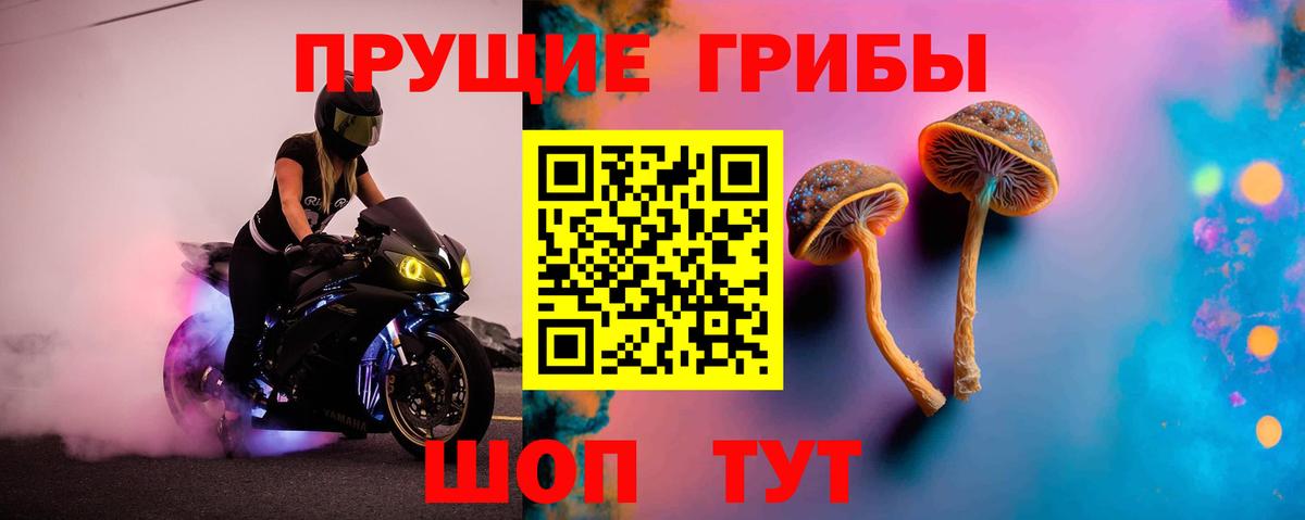 Галлюциногенные грибы прущие грибы Дагестанские Огни